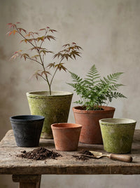 Terracotta Clay Planter Pot for Succulents and Orchids, Breathable Vintage Style