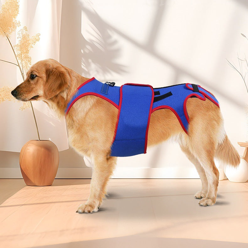 Pet Dog Spine Support Harness Vest with Calming Traction Lead