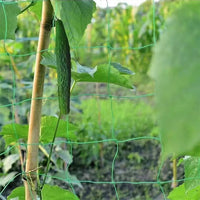 Plant Climbing Net for Fruits and Vegetables, Trellis Netting for Vines, Loofah, Bitter Gourd, Passion Fruit, and Beans