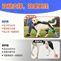 Dog Knee Brace for Post-Surgery Recovery and Support
