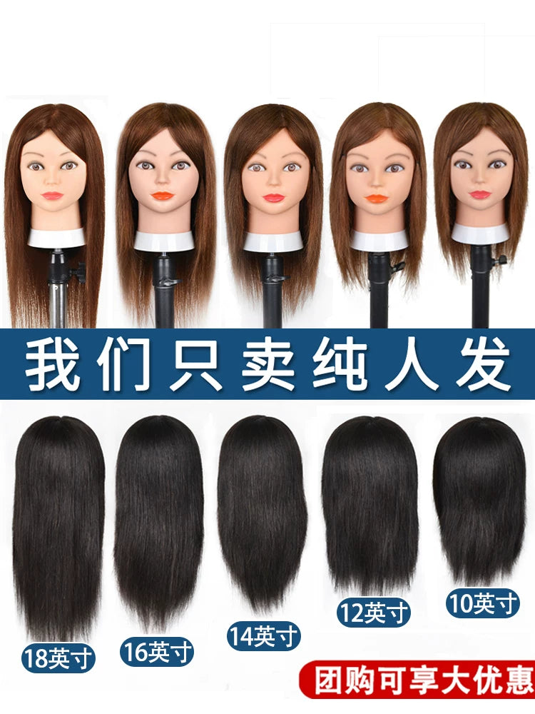 100% Human Hair Mannequin Head for Hairdressing Practice, 10-16 inch