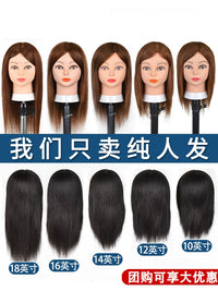 100% Human Hair Mannequin Head for Hairdressing Practice, 10-16 inch