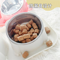 Double Cat Bowl Set with Stainless Steel Food and Water Bowls, Spill-Proof, Tilted Design for Pets