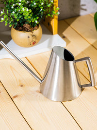 Stainless Steel Long Spout Watering Can for Indoor Plants & Succulents, Nordic Style Metal Small Sprinkler