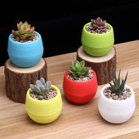Self-Watering Succulent Planter Pot for Indoor Outdoor Plants