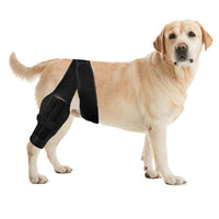 Pet Dog Knee Brace Joint Support Protector for Injury Recovery and Lick Prevention