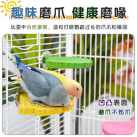 Parrot Ginkgo Sand Perch for Claw and Beak Grinding, Bird Cage Accessory