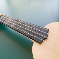 DIY Ukulele Kit for Kids, Wooden Mini Guitar Assembly and Painting Craft