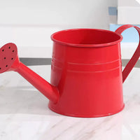 Decorative Iron Art Watering Can for Floral Arrangements and Spring Decor
