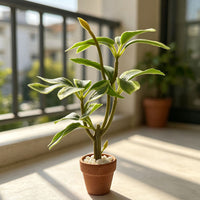 Dollhouse Miniature Potted Green Plant Decoration for BJD Dolls