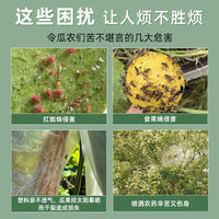 Loofah Gourd Fruit Protection Bags - Waterproof Insect-Proof Covers for Cucumber Bitter Gourd Vegetables