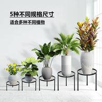 5-Tier Wrought Iron Plant Stand for Indoor Outdoor Balcony Garden, Detachable Flower Pot Holder