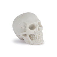 Aquarium Fish Tank Ornament Animal Skull Head Decor for Landscaping and Pet Habitat