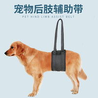 Breathable Mesh Pet Dog Walking Aid Harness for Injured & Elderly Dogs
