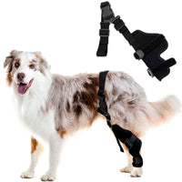 Adjustable Breathable Dog Rear Leg Brace for Joint and Knee Support