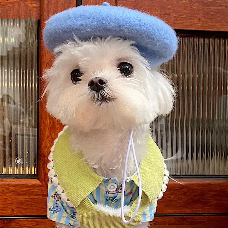 Pet Beret Hat for Dogs and Cats - Painter Style Octagonal Cap