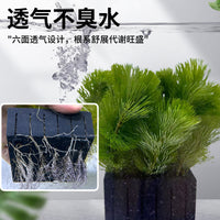 Aquatic Plant Cultivation Box for Fish Tanks - Submersible Planter for Live Aquarium Plants
