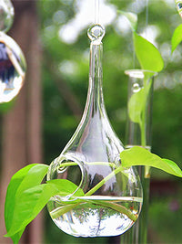 Hanging Thickened Transparent Glass Mini Fish Tank with Stand, Creative Round Hydroponic Plant Ornament