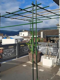 Heavy Duty Coated Steel Garden Arch Trellis for Climbing Plants, Vegetables, and Fruits