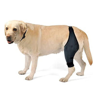 Dog Leg Brace for Injury Recovery and Support