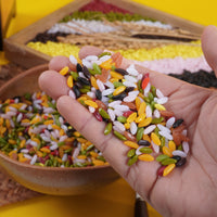 1lb Bulk Simulation Rice Grains for DIY Crafts & Play Food