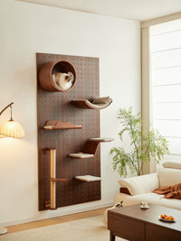 CURRY Walnut Wood Wall-Mounted Cat Climbing Frame with Integrated Cat Bed for Small Spaces