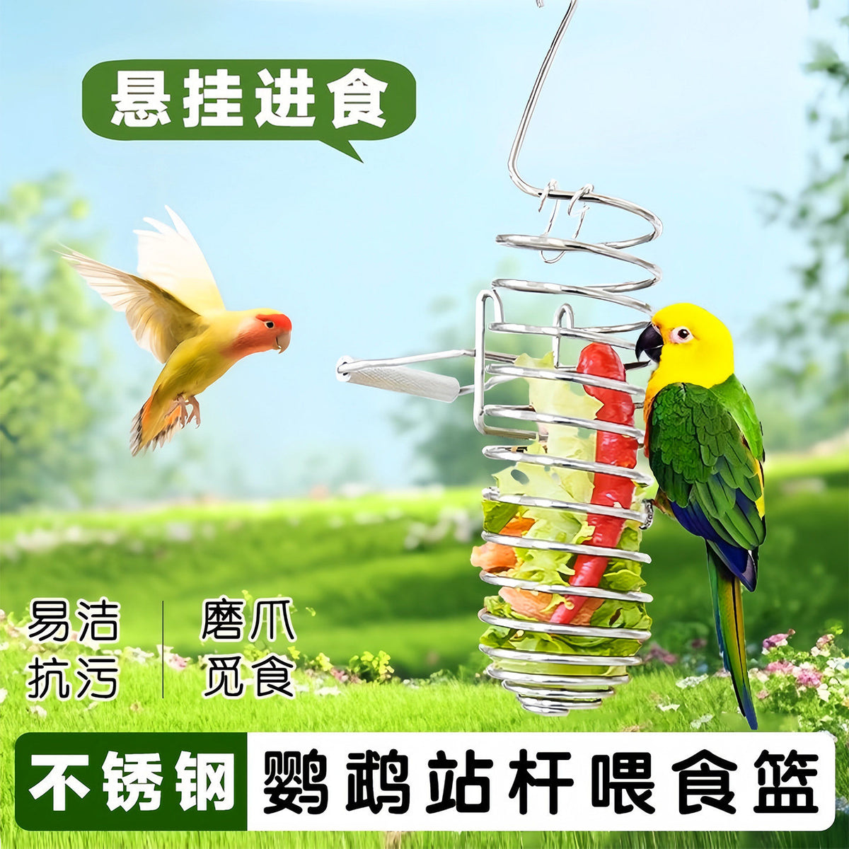 Stainless Steel Bird Feeder Fruit Vegetable Basket Hanging Feeder for Parakeets