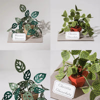 Jeancard 3D Laser Cut Paper Model Kit Mini Potted Plants DIY Craft