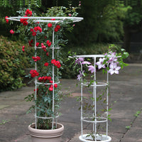 Umbrella-Shaped Metal Plant Trellis for Climbing Vines and Roses, Outdoor Garden Support