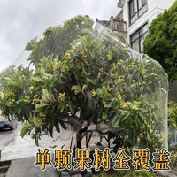 Orchard Bird Netting for Fruit Trees and Vegetable Gardens