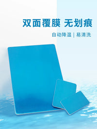 Pet Cooling Aluminum Plate for Small Animals - Hamster, Rabbit, Chinchilla Summer Heat Relief Pad