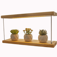 Wooden Succulent Plant Stand with Full Spectrum Grow Light for Indoor Desktop Display