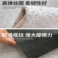 Pet Cartoon Loop Pile Doormat Cat Litter Mat Dust Removal PVC Scraper Mat Customizable