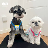 Pet Cooling Vest for Dogs - Sun Protection & Heat Relief for Small to Medium Breeds