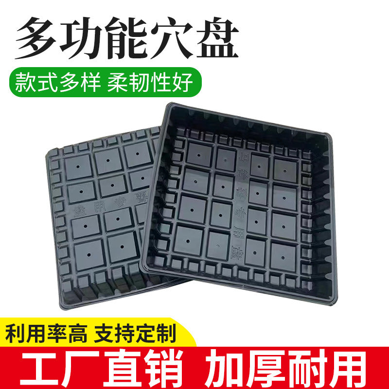 Multi-functional Seedling Tray for Succulents, Vegetables, and Hydroponics - 200-Cell