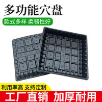 Multi-functional Seedling Tray for Succulents, Vegetables, and Hydroponics - 200-Cell