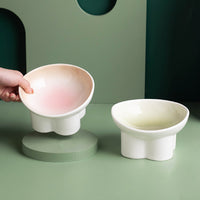 Elevated Ceramic Pet Bowl for Cats and Small Dogs, Tilted Design for Neck Protection, Anti-Vomit, Anti-Spill Food and Water Dish