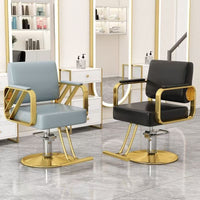 Commercial Salon Chair, Height Adjustable Barber Chair with Footrest, Modern Minimalist Styling Hair Chair for Stylists