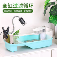 Turtle Tank with Filtration System and Landscaping for Home Use