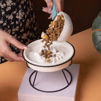 Ceramic Slow Feeder Pet Bowl with Elevated Stand for Cats and Small Dogs, Anti-Choke, Spine Protection, Anti-Acne