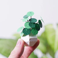 Jeancard 3D Laser Cut Paper Model Kit Mini Potted Plants DIY Craft