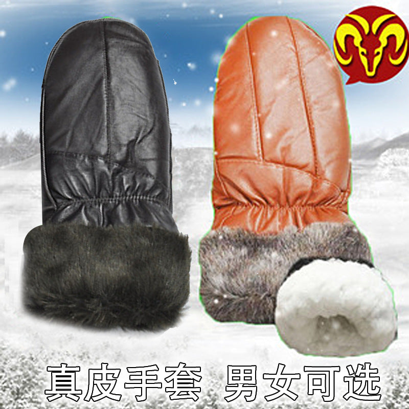 Genuine Sheepskin Leather Gloves for Men and Women, Full Finger, Warm Winter Gloves with Thick Cotton Lining