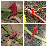 Plant Stem Fixer Forks for Vine Crops - Strawberry, Watermelon, Seedling Rooting