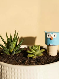 Owl Ceramic Self-Watering Spikes for Potted Plants