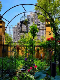 Rustproof Iron Arch Trellis for Climbing Plants, Roses, and Grapevines, Outdoor Garden Arbor