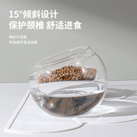 Elevated Glass Pet Bowl with Silicone Mat for Cats and Small Dogs, Tilted Design for Neck Protection