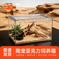 Transparent Acrylic Reptile and Insect Terrarium with Secure Latch