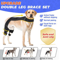 Pet Dog Rear Leg Brace for Injury Recovery and Support