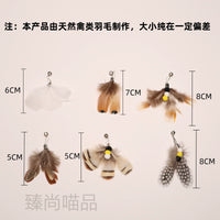 Interactive Retractable Cat Wand Toy with Feather and Insect Refills for Indoor Cats