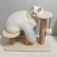 Cat Climbing Frame with Ladder, Steps, and Scratching Post for Small Kittens and Senior Cats